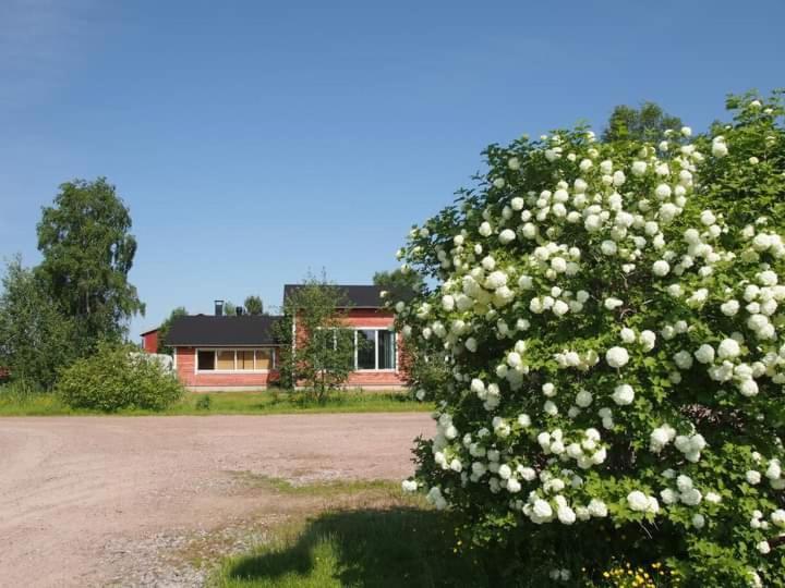 B&B Villa Helmi Ala-Temmes Esterno foto